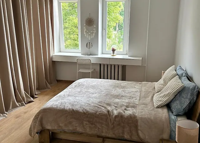 Baika's Self Check-in *